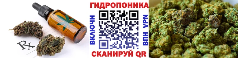 закладка  Каменск-Шахтинский  Canna-Cookies конопля 