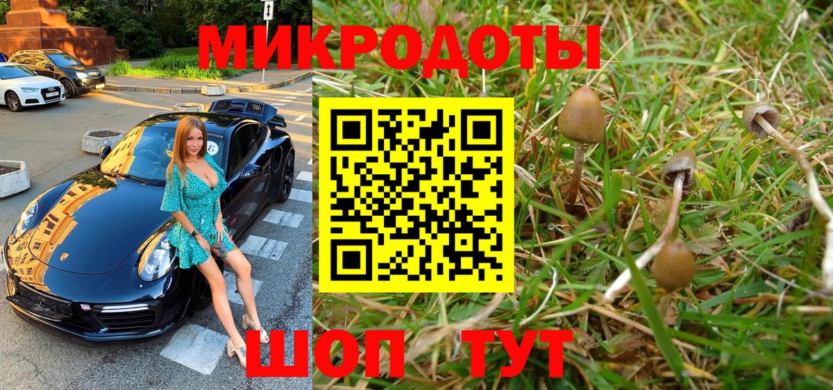 Псилоцибиновые грибы ЛСД  Галлюциногенные грибы Psilocybe  Вход с VPN  Каменск-Шахтинский 